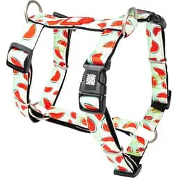 Шлея для собак Max & Molly H-Harness Watermelon XS 1х28-40х33.5-41 см