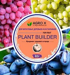 Саженец Agro-Market Виноград, комплект из 3-х сортов Вкусный тандем (Delicious tandem) саженцев + лучшее удобрение 3 шт. в упаковке (48252)