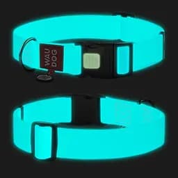 Нашийник для собак водостійкий Waudog Waterproof з QR-паспортом світлонакопичувальний пластиковий фастекс XXL Ш 40 мм Дов - мініатюра 5