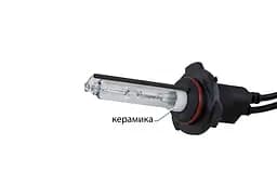 Ксенонова лампа Infolight HB3 9005 5000K +50%