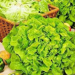 Семена Весна Салат Крутянский Зипер 3 г (177304)