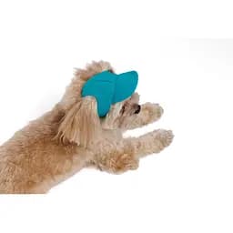 Кепка Pet Fashion Topaz для собак М - мініатюра 5