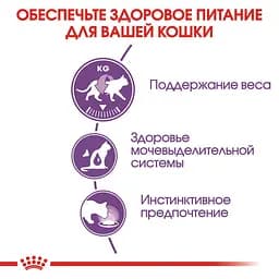 Вологий корм для дорослих стерилізованих котів Royal Canin Sterilised in Jelly шматочки в желе 85 г - мініатюра 7