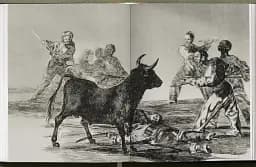 Goya. The Complete Prints - мініатюра 22