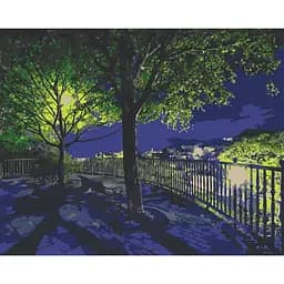 Картина за номерами ArtCraft Нічний парк 40х50 см 10585-AC