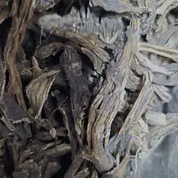 100 г ако нит борец корень сушеный, свежий урожай