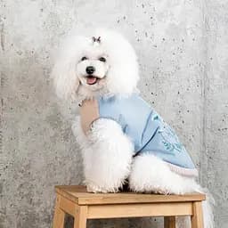 Жилет Pet Fashion Kris для собак розмір XS2 - мініатюра 5