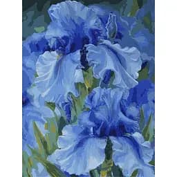 Картина по номерам Ideyka Голубые ирисы ©Юлия Томеско KHO2988 30х40 см