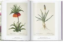 Redouté. The Book of Flowers - мініатюра 3