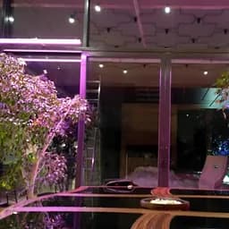 Керований підвісний світлодіодний фітосвітильник X-LED 70 Вт (1416x42x43)  - мініатюра 3