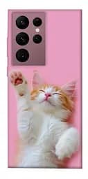 Чохол Demsky Сat chill для Samsung Galaxy S22 Ultra