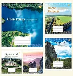 Зошити учнівські 18 аркушів клітинка 20 штук в упаковці ТЕ41204