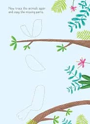 Animals to Copy and Trace. Little Wipe-Clean - мініатюра 7