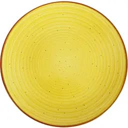 Тарілка обідня Ipec Terra 26 см (30905288)