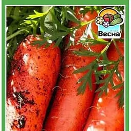 Семена Весна Морковь Артек 2 г (10370)