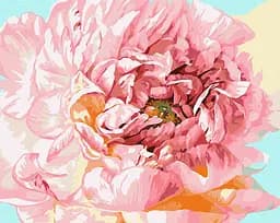 Набор для росписи по номерам Нежная пиония, 40x50 см, КНО2996