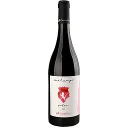 Вино Castel del Piano Melampo Pinot Noir Red 2019 червону сухе 13% 0.75 л