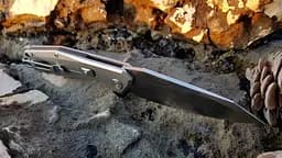 Ніж cкладний Ruike P135-SF, Сріблястий - мініатюра 8