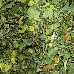 Збір трав'яний антипаразитарний, від паразитів чай, 100 г (своє виробництво)