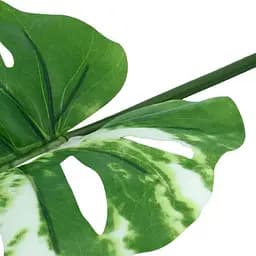 Штучне листя Engard Monstera Alba 73 см (TW-54) - мініатюра 3