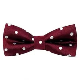 Краватка-метелик