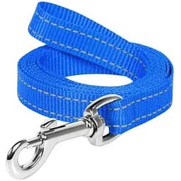 Повідець Dog Extreme з нейлону (ширина 25мм, довжина 200см), блакитний