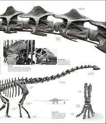 Dinosaurs and Prehistoric Life. The Definitive Visual Guide - мініатюра 8