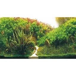 Задній фон Hobby Planted River/Green Rocks 100x50 см (31044) - мініатюра 4