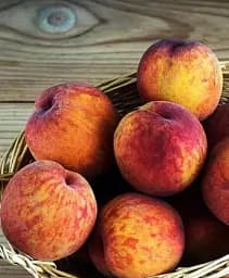 Саджанець Agro-Market Персик Ерлі Хрест (літній сорт, дуже ранній термін дозрівання) 1 шт. в упаковці (25788)