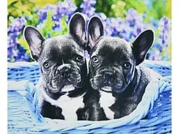 Алмазна мозаїка Двоє малят, Strateg (30х40 см) - мініатюра 1