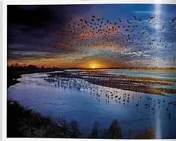 Stephen Wilkes. Day to Night - мініатюра 8