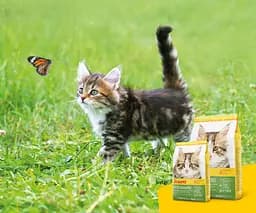 Сухий корм для кошенят Josera Kitten Grainfree, 400 г - мініатюра 6
