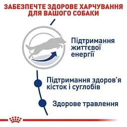 Сухий корм для собак великих порід старше 5 років Royal Canin Maxi Adult 5+, 4 кг (3008040) - мініатюра 5
