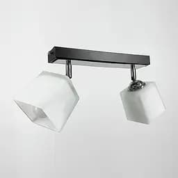 Світильник в чорному або білому корпусі на 2 плафони Line.F Колір корпусу Чорний