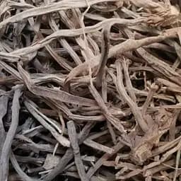 100 г спаржа корень сушеный - свежий урожай