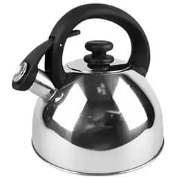 Чайник для плити Maestro MR-1302 зі свистком з нержавійки 2.5 л