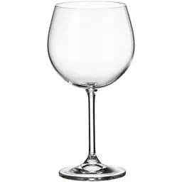 Набір келихів Bohemia Crystalite для червоного вина 570 мл 6 шт Colibri (4S032)