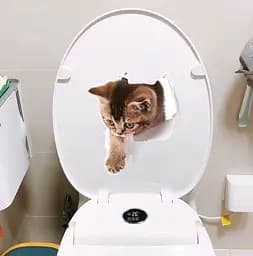 Наклейка 3D UKC у туалет Котик 2802