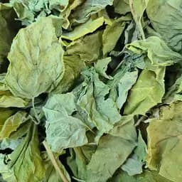 100 г лобода листя сушене - свіжий урожай