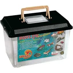 Транспортирующий бокс Amtra средний 23.5 x 19.5 x 20 см