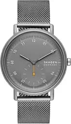 Часы SKAGEN SKW6891