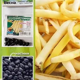 Квасоля спаржева "Грибний аромат" (Зипер) ТМ "Весна" 5г (23586)