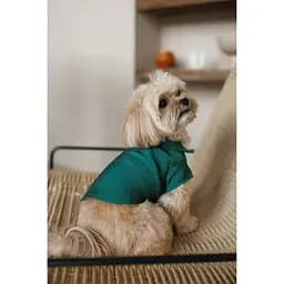 Сорочка Pet Fashion Seaman для собак XХS - мініатюра 8