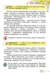 Я досліджую світ 3 клас. Підручник. Частина 2 - мініатюра 4