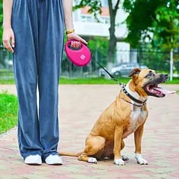 Повідець-рулетка для собак Waudog R-leash з контейнером для пакетів, світловідбивна стрічка, L до 40 кг, 5 м рожевий - мініатюра 11