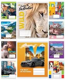 Тетради ученические 24 листа клетка Твердая ТЕ41305 Микс 5, 20 шт. в упаковке