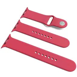 Силіконовий ремінець для Apple Watch Sport Band 38/40/41/42mm(ser.10) (S/M & M/L) 3pcs Малиновий / Pomegranate