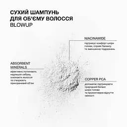 Шампунь для об'єму волосся Triology. BlowUp сухий 18 г - мініатюра 3