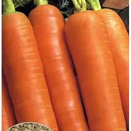 Насіння Весна на вагу Морква Королева осені ціна за 10 г (22202)