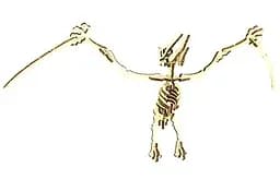 Дерев'яний конструктор Птеродактиль 29 деталей